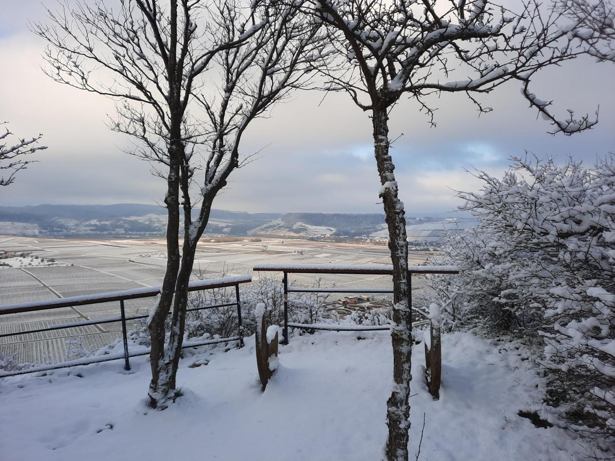 Biggi Appartement Trittenheim Buitenkant foto